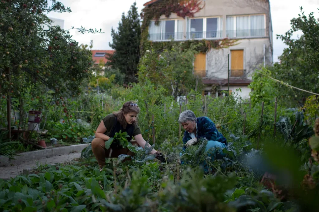 Le cojardinage de Julie et Maria