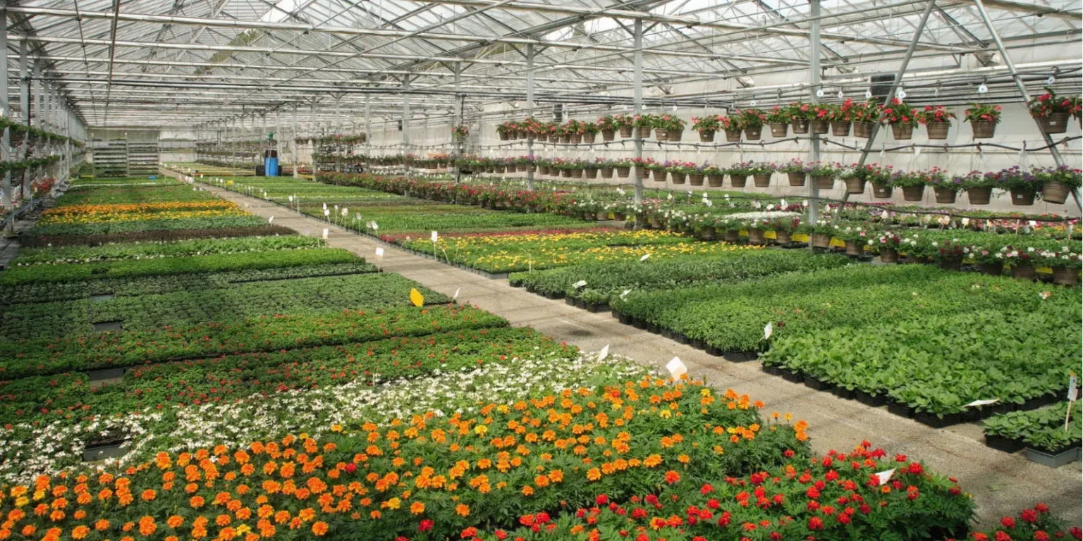 Horti Sologne