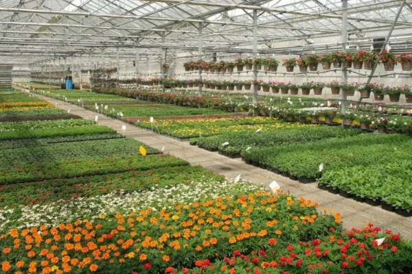 Horti Sologne