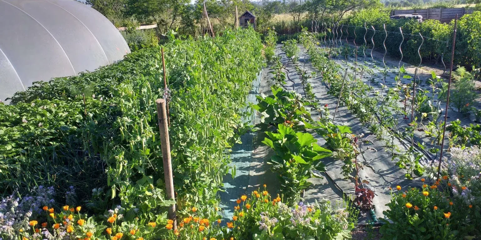 Les Jardins Kit'Éco