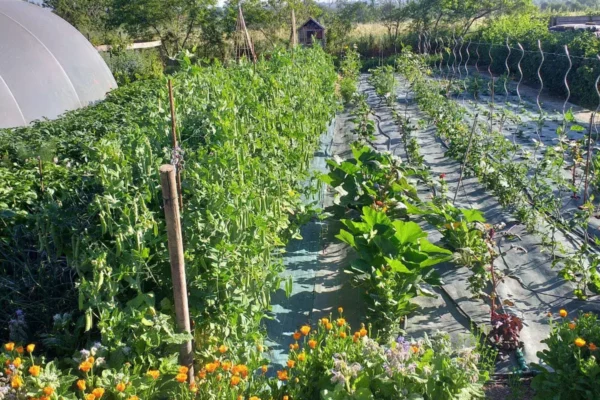 Les Jardins Kit'Éco