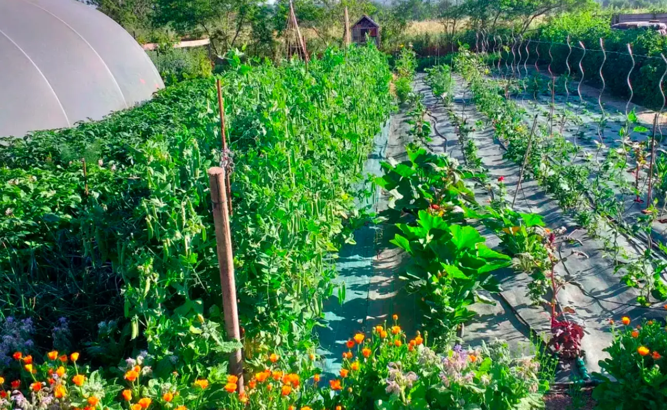 Les Jardins Kit'Éco