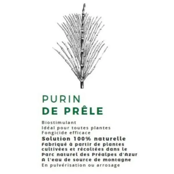 Purin de prêle bio