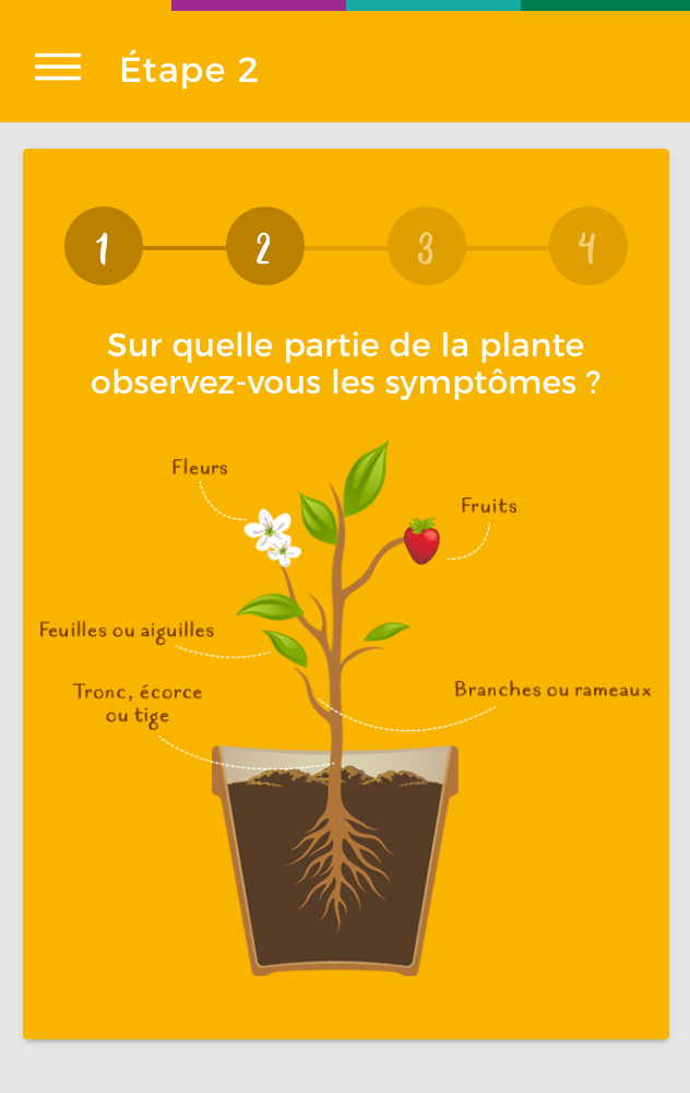 La Clinique des Plantes