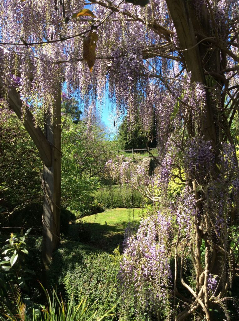 Pépinière Botanique et Plantarium