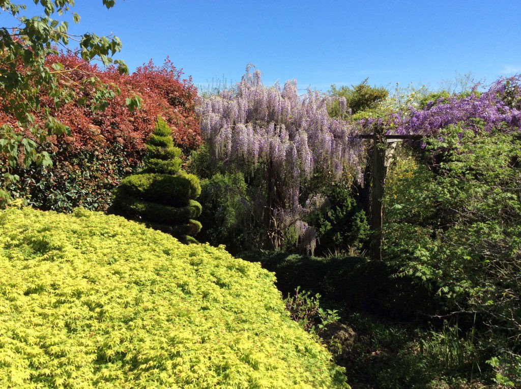 Pépinière Botanique et Plantarium