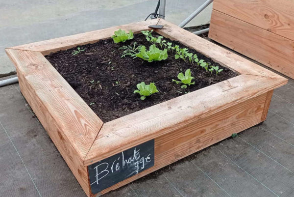 Carré potager Jardin Fertile