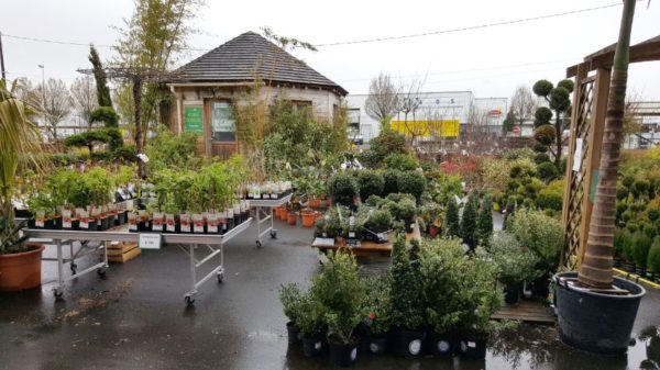 Espace pépinière des jardineries Atlantic Vert