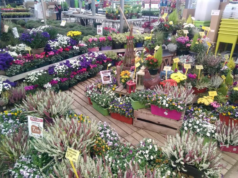 Marché aux fleurs