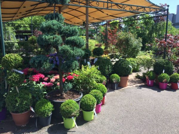 La Jardinerie Plaisirs Verts