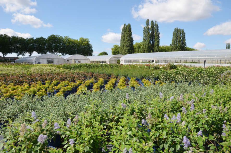 La Jardinerie Poullain