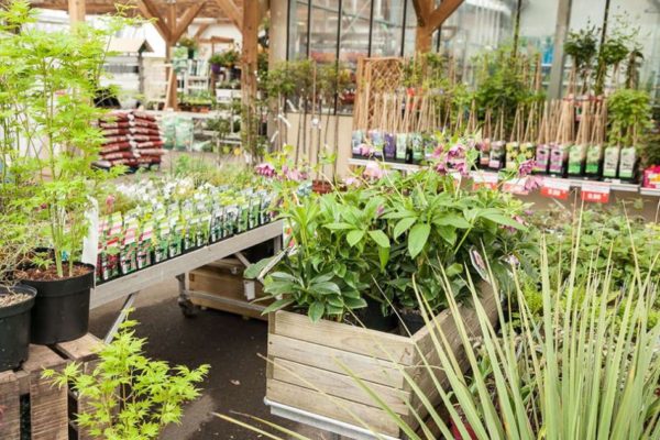 Le marché aux fleurs