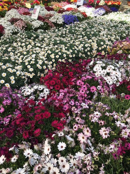 Jardins de Beaune