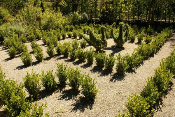 Le labyrinthe des enfants