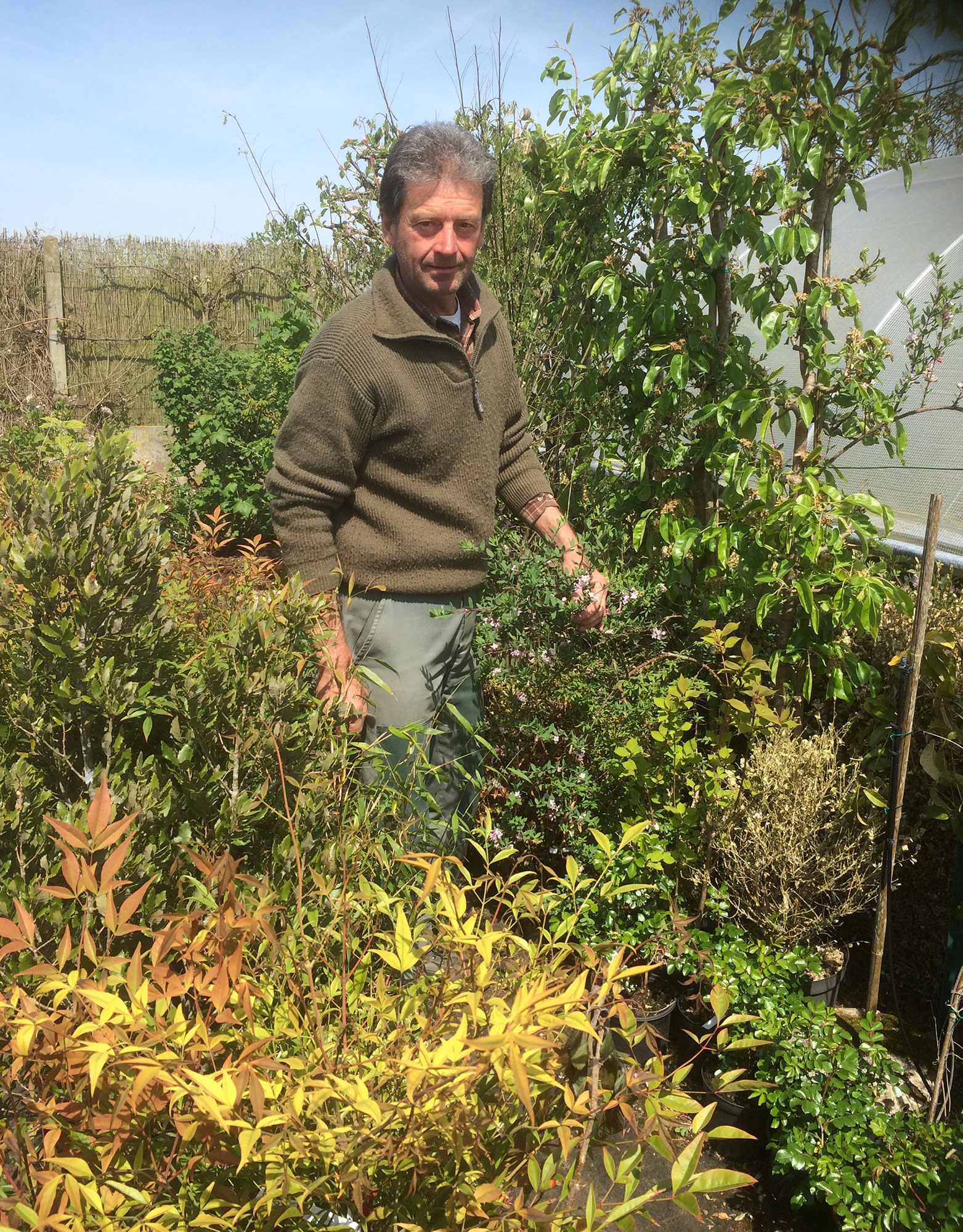 Laurent Des Jardins d'Ollivier