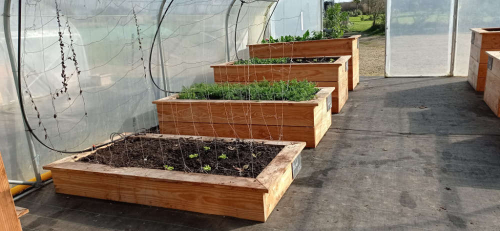 Les carrés potagers de Jardin Fertile