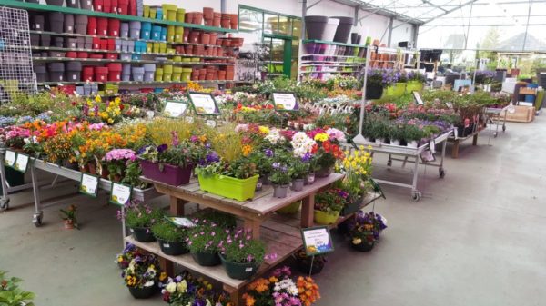 Le marché aux fleurs