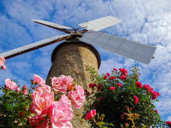 Le moulin aérogénèrateur des Pépinières du Val d'Erdre