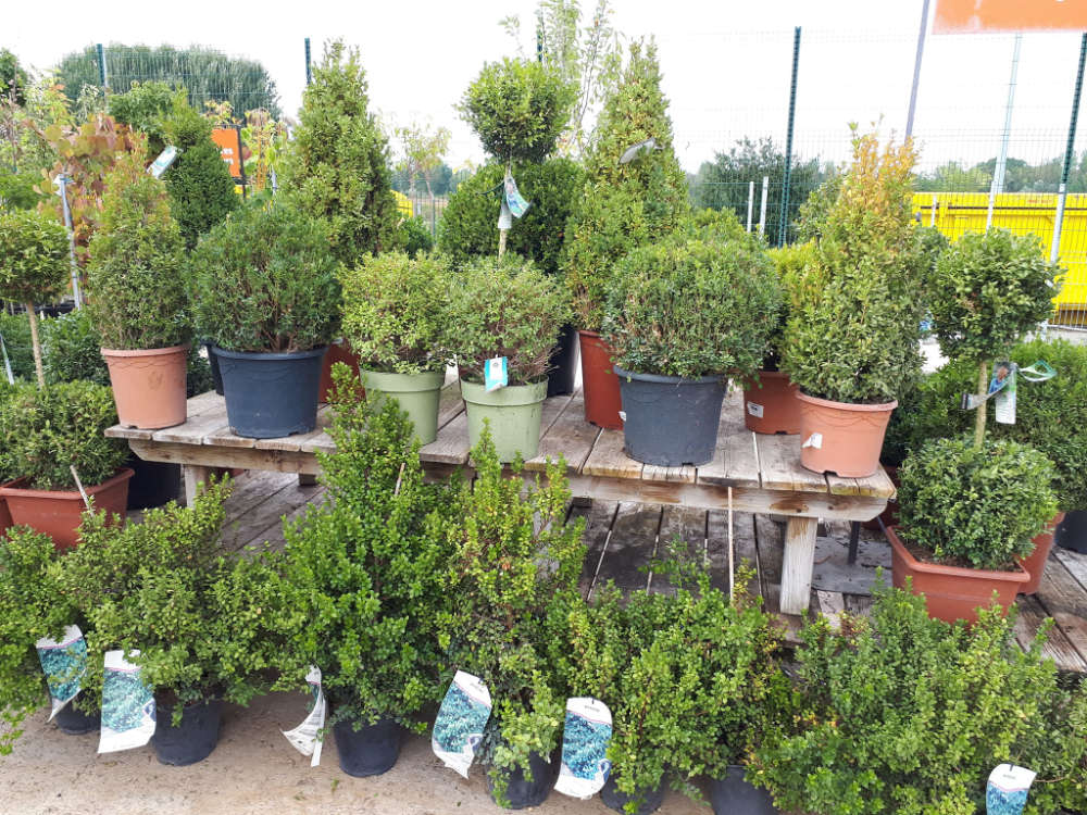 L'espace pépinière du Jardin de la belle idée