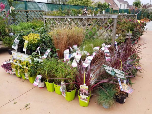 Espace pépinière des Jardins de Faremoutiers