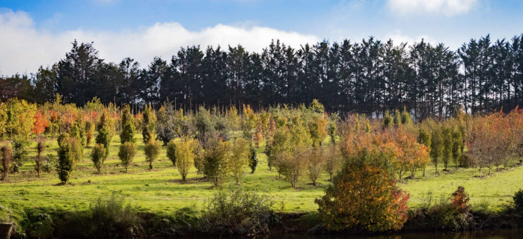 Vue d'ensemble des  Pépinières du Val d'Erdre