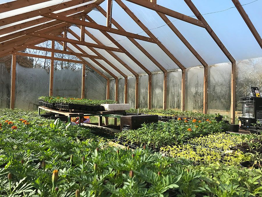 Potager dans serre en bois