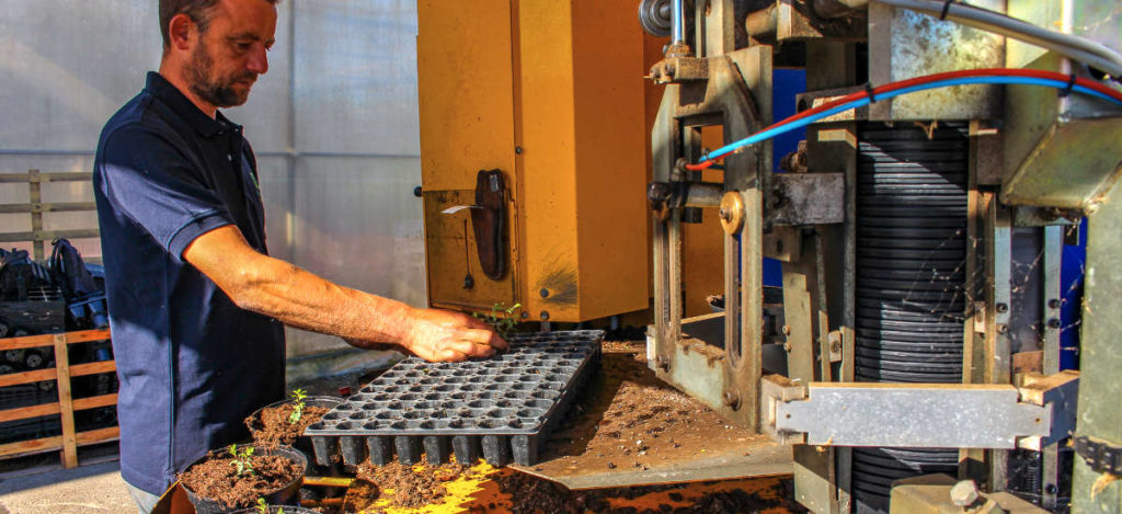 Production des Pépinières du Val d'Erdre