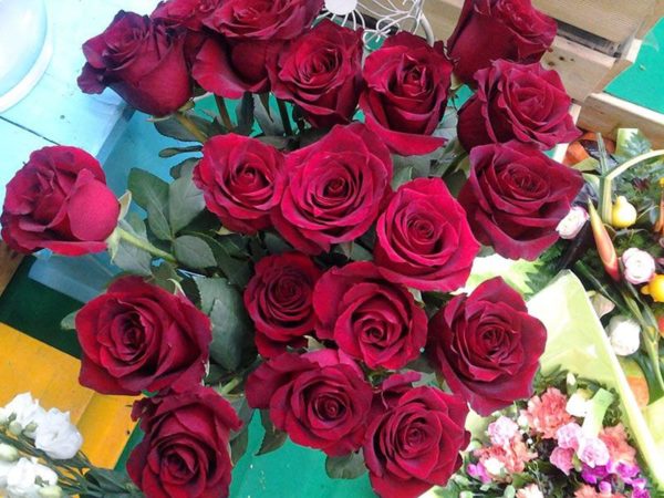 Bouquet de roses