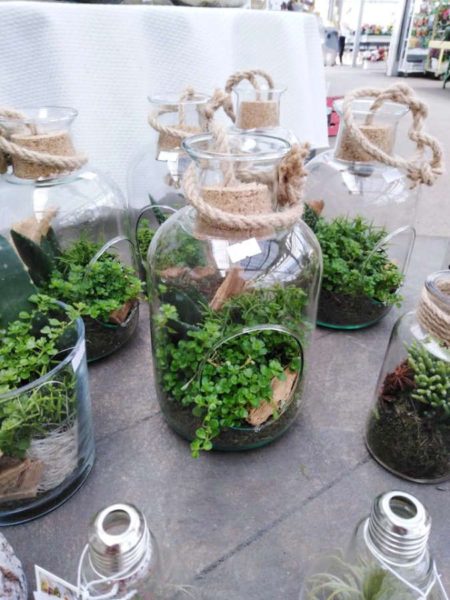 Les terrariums