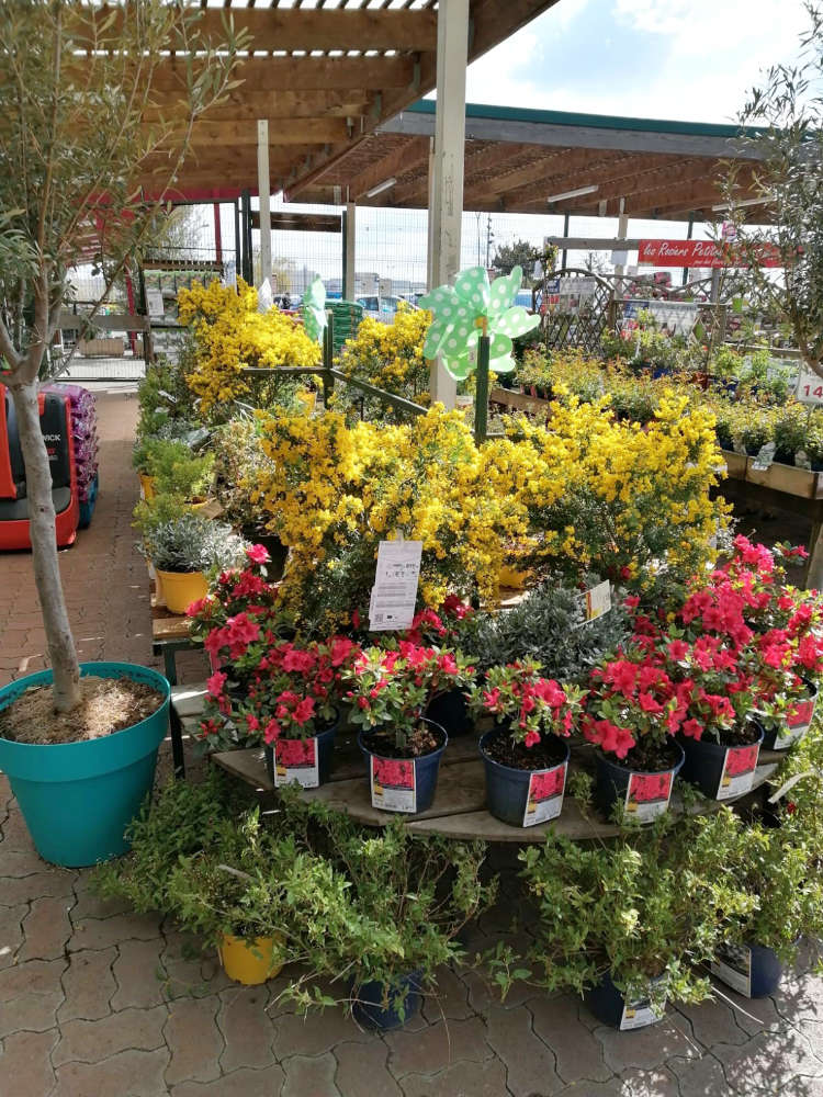 Espace pépinière Jardinerie Poullain