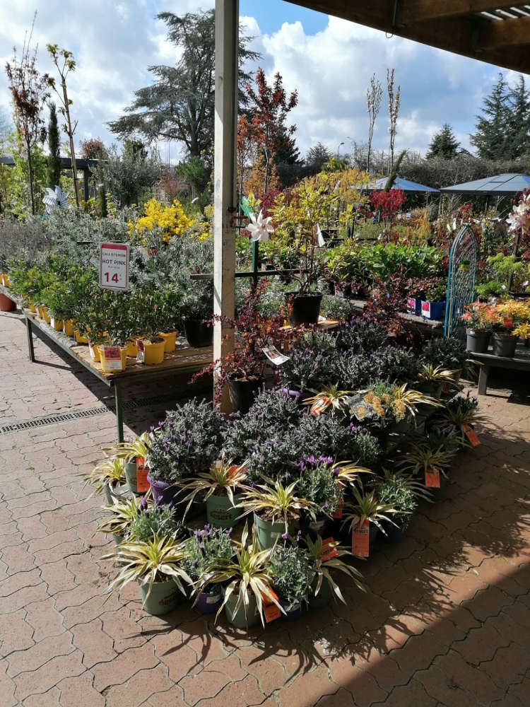 Espace pépinière Jardinerie Poullain