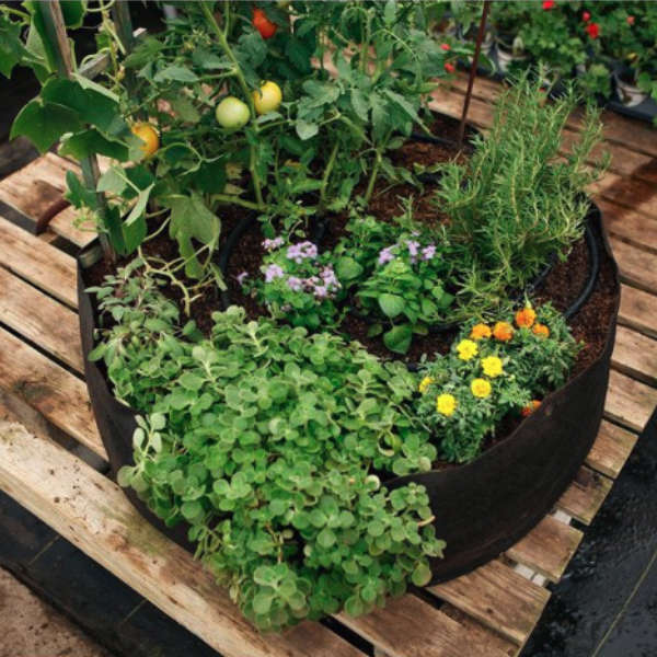 Smart Pot - Jardin instantané Big Bag Bed Régulier (100 gallons)