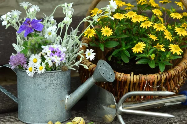 Que faire au jardin en mai ?