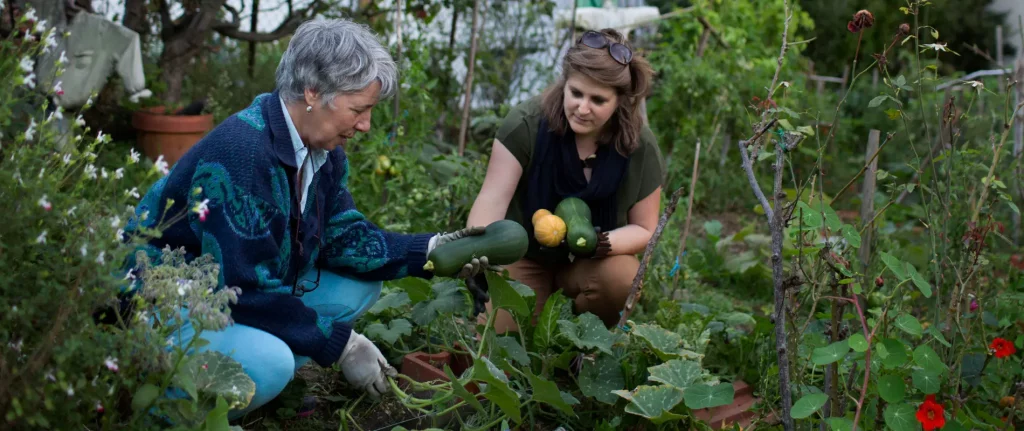 Le concept de cojardinage