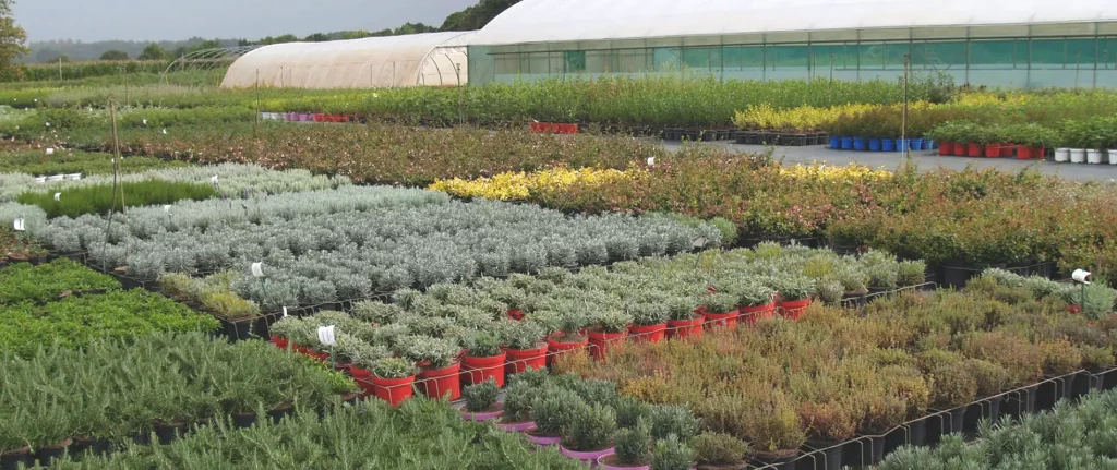 Professionnels du jardin les "Choux-Choux"