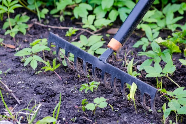 Annonce de prêt de jardin