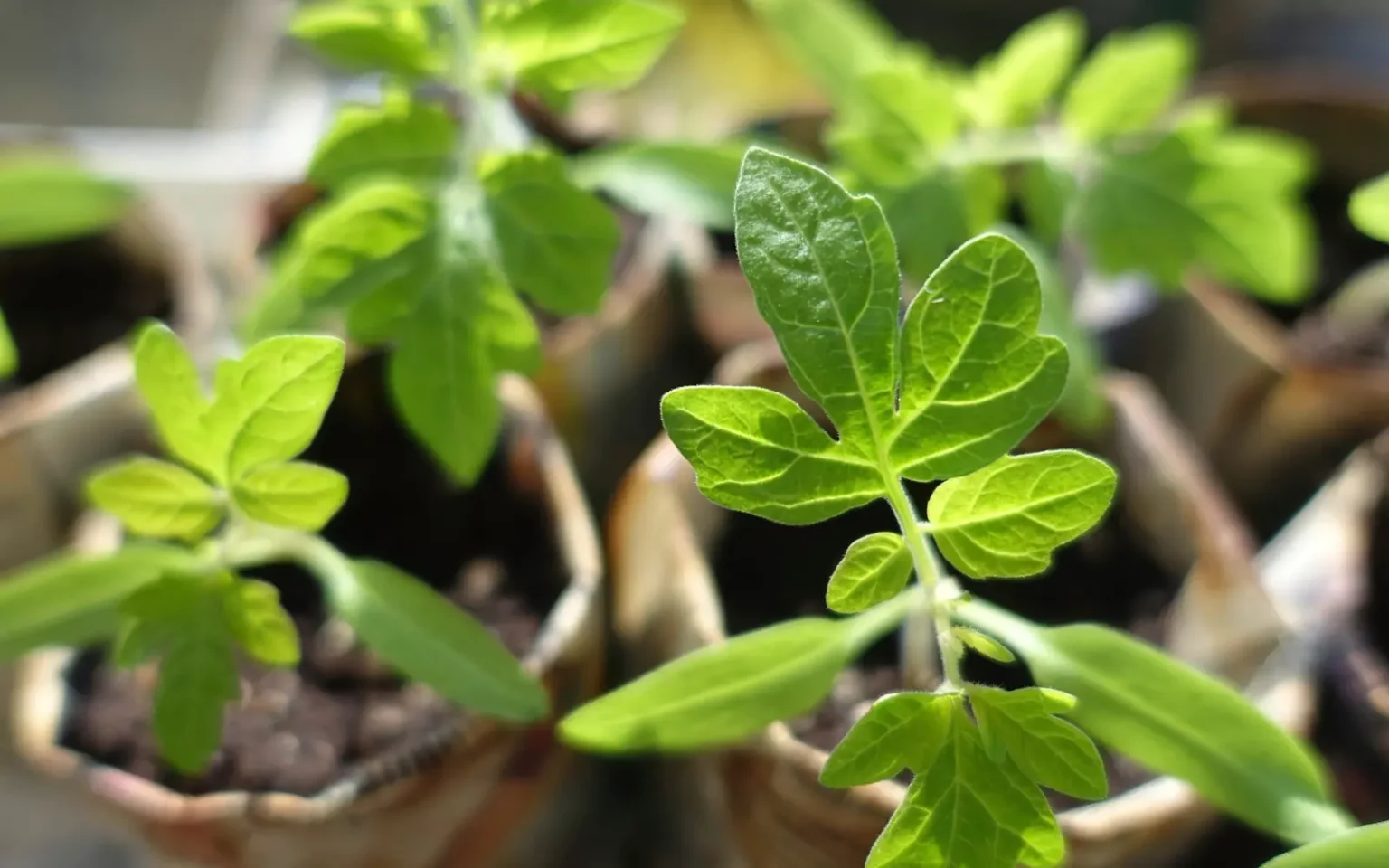 Planète Agrobio