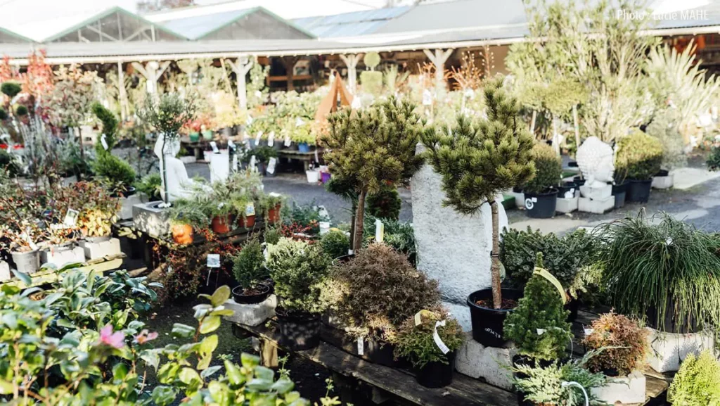 La pépinière de la jardinerie Espace Nature