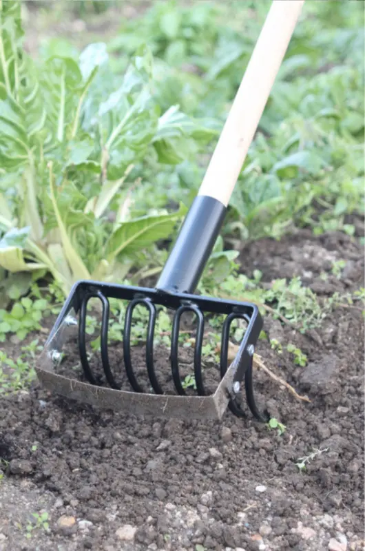 La binette sarcleuse de Jardin et Saisons