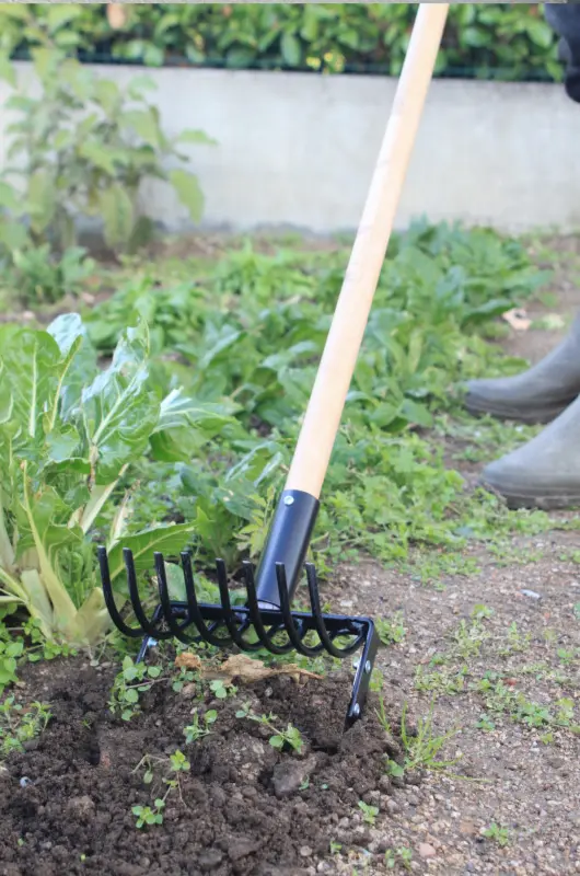 La binette sarcleuse de Jardin et Saisons