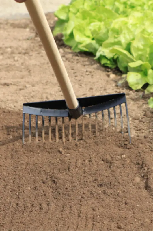 Le ramasse-cailloux créé par Jardin et Saisons