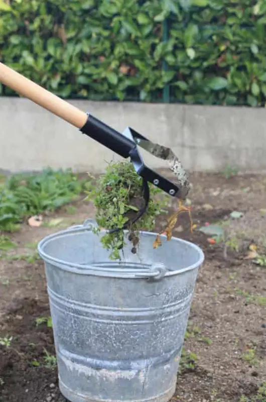 La binette sarcleuse de Jardin et Saisons